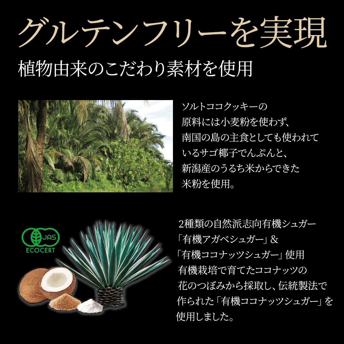 エステプロ・ラボ ソルトココクッキー(プレーン)60g×3個セット