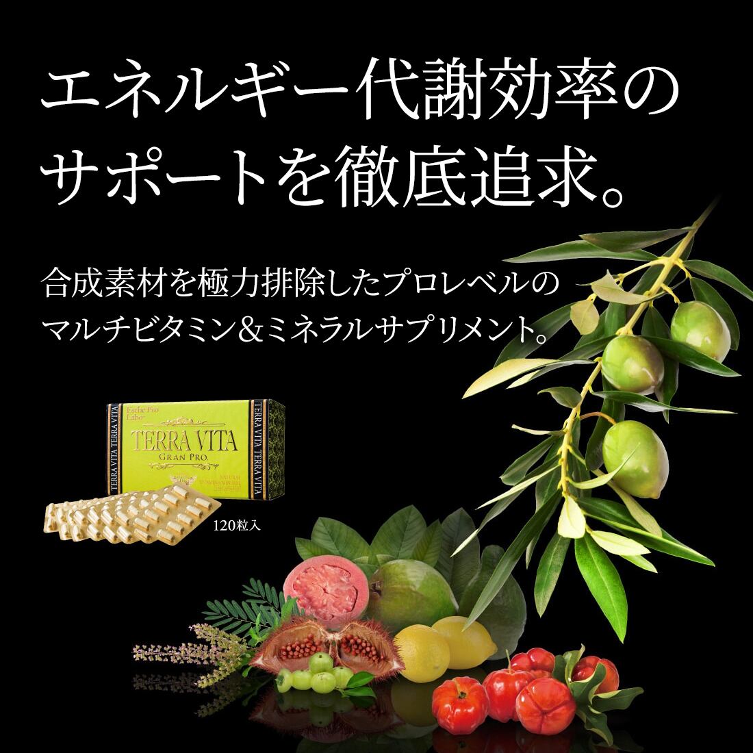 エステプロ・ラボ テラヴィータ グランプロ 120粒入