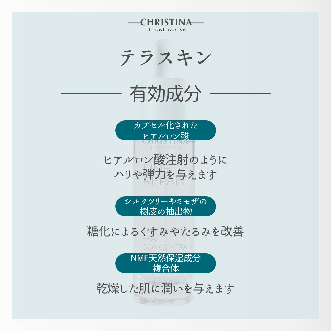 LINE REPAIR テラスキン