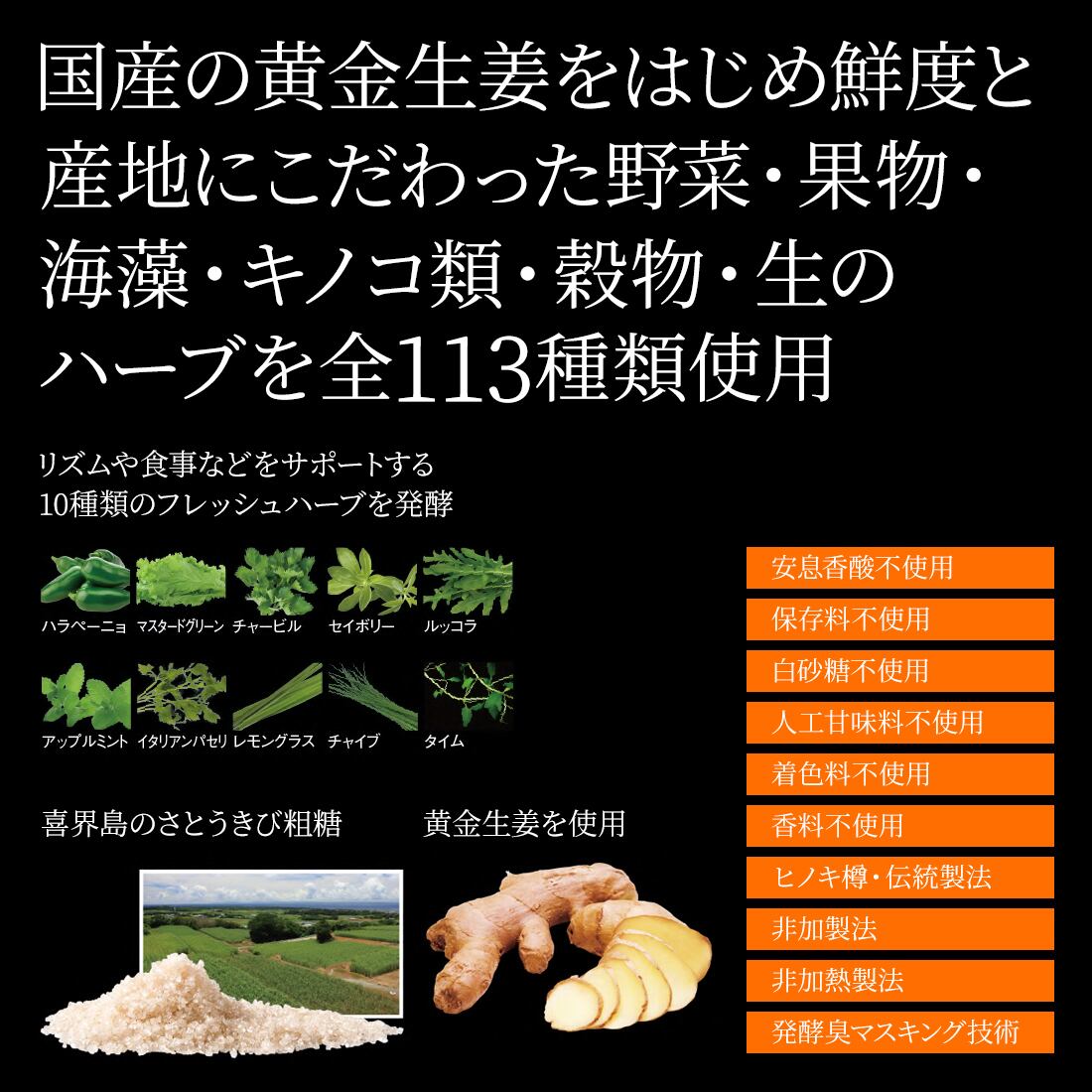エステプロ・ラボ ハーブザイム113グランプロ ジンジャー 500ml