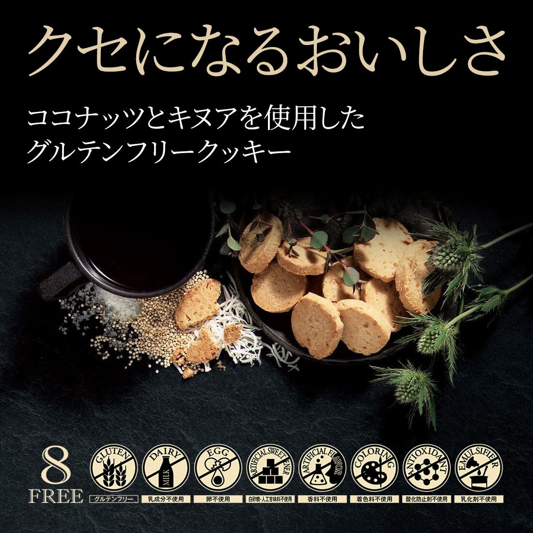 エステプロ・ラボ ソルトココクッキー(プレーン)60g×3個セット