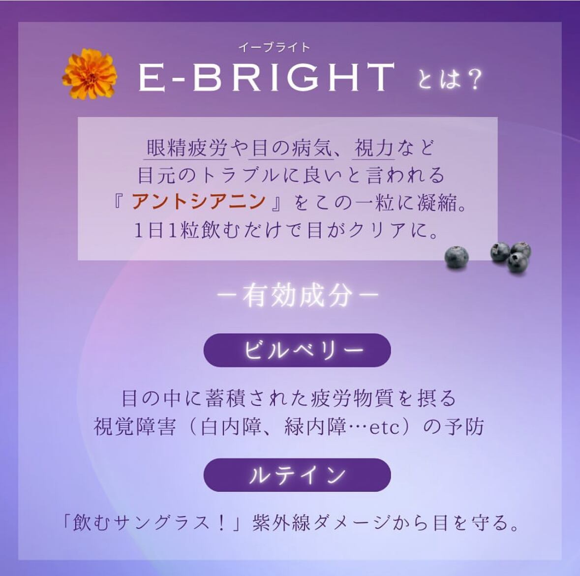 エステ・プロラボ イーブライト30粒