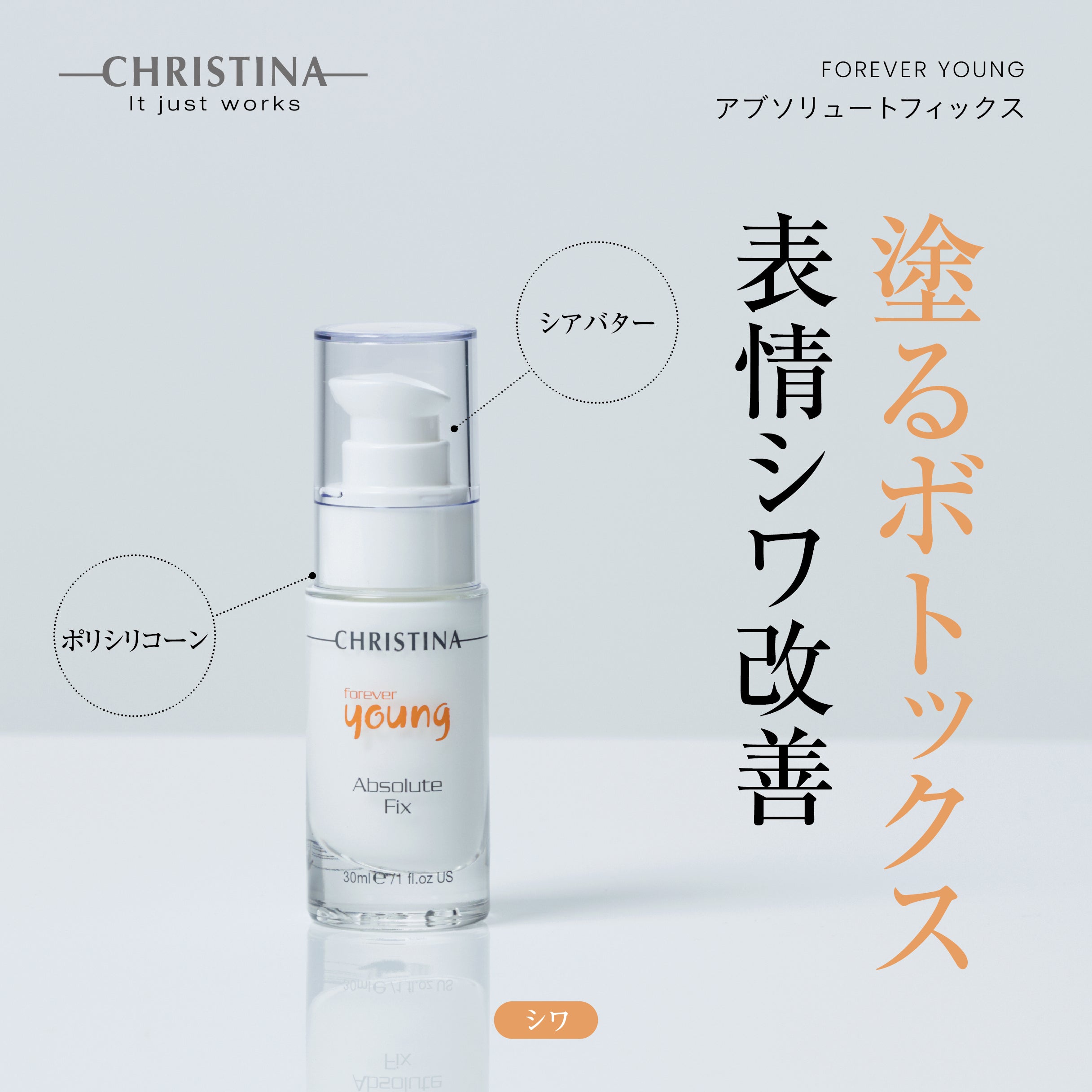 FOREVER YOUNG　アブソリュートフィックス
