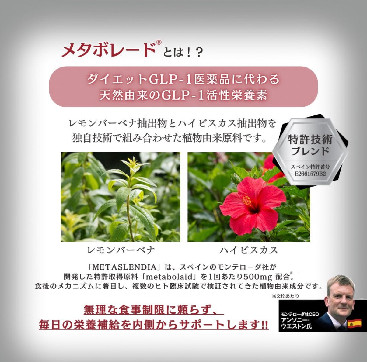 メタスレンディア